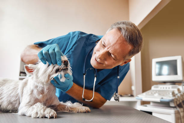 Best Emergency Dentist Near Me  in Washington Heights, NY